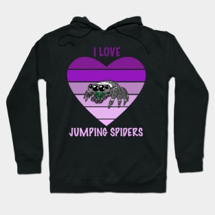 I Love Jumping Spiders Hoodie